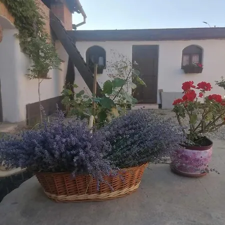 Guest house Casa Huber Carta (Sibiu)